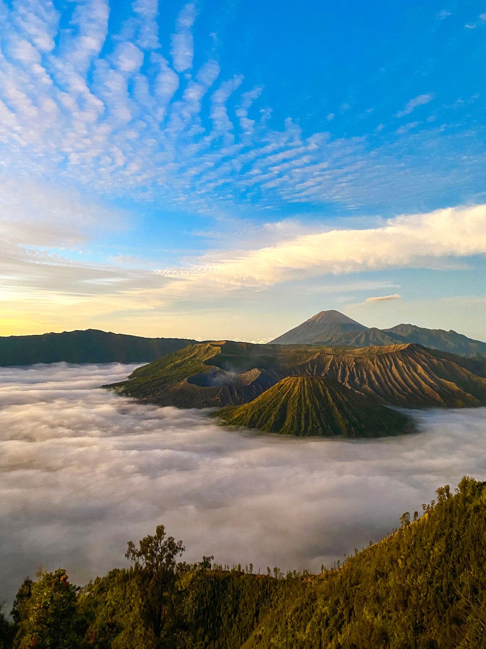 Bromo