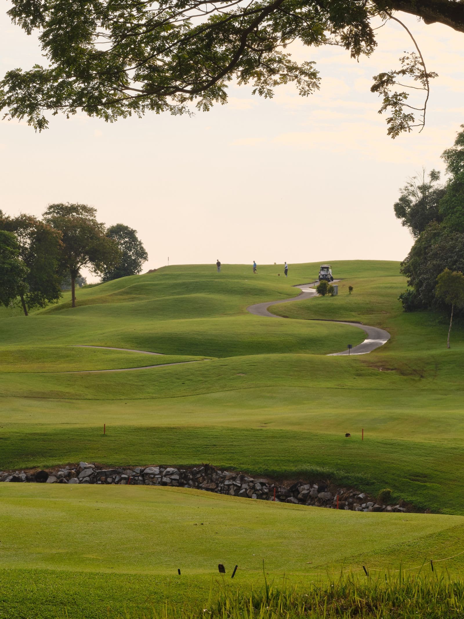 Main Golf 18 Hole Weekday